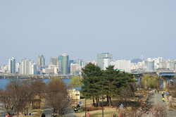 Seoul überrascht immer wieder mit grünen Ecken und vielen Parks. Hier am Han River kann man den ganzen Tag auf einer Picknickdecke verbringen oder sich ein Fahrrad leihen.