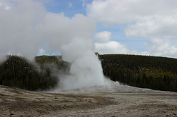 Wasserdampf sprüht aus dem Geysire