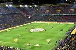 Blick von der Tribüne ins Stadion