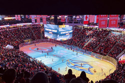 Let’s go Canes! Heimspiel gegen die Nashville Predators. Sobald ein Gegenspieler Strafminuten absitzen musste, ruft das ganze Stadion „Cheaters never win!“