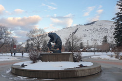 Wahrzeichen und Maskottchen der University of Montana ist der Grizzly Bär.