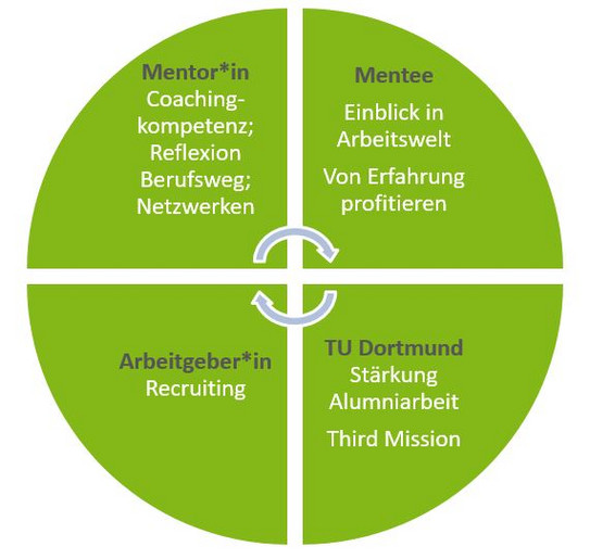 Illustration Win-Win Mentoring für Mentees, Mentoren, Arbeitgeber, Universität